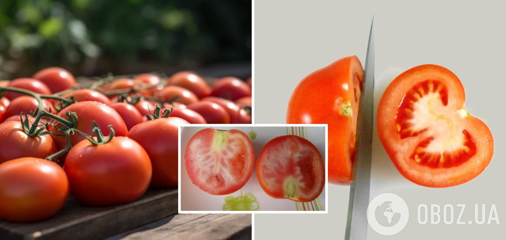 Чи можна їсти помідори з білими прожилками: можуть вказувати на хворобу