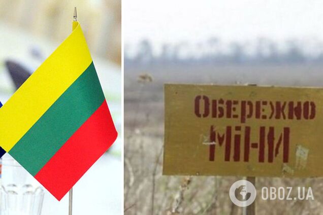 'Обучай и вооружай': Литва заявила о создании коалиции разминирования для Украины