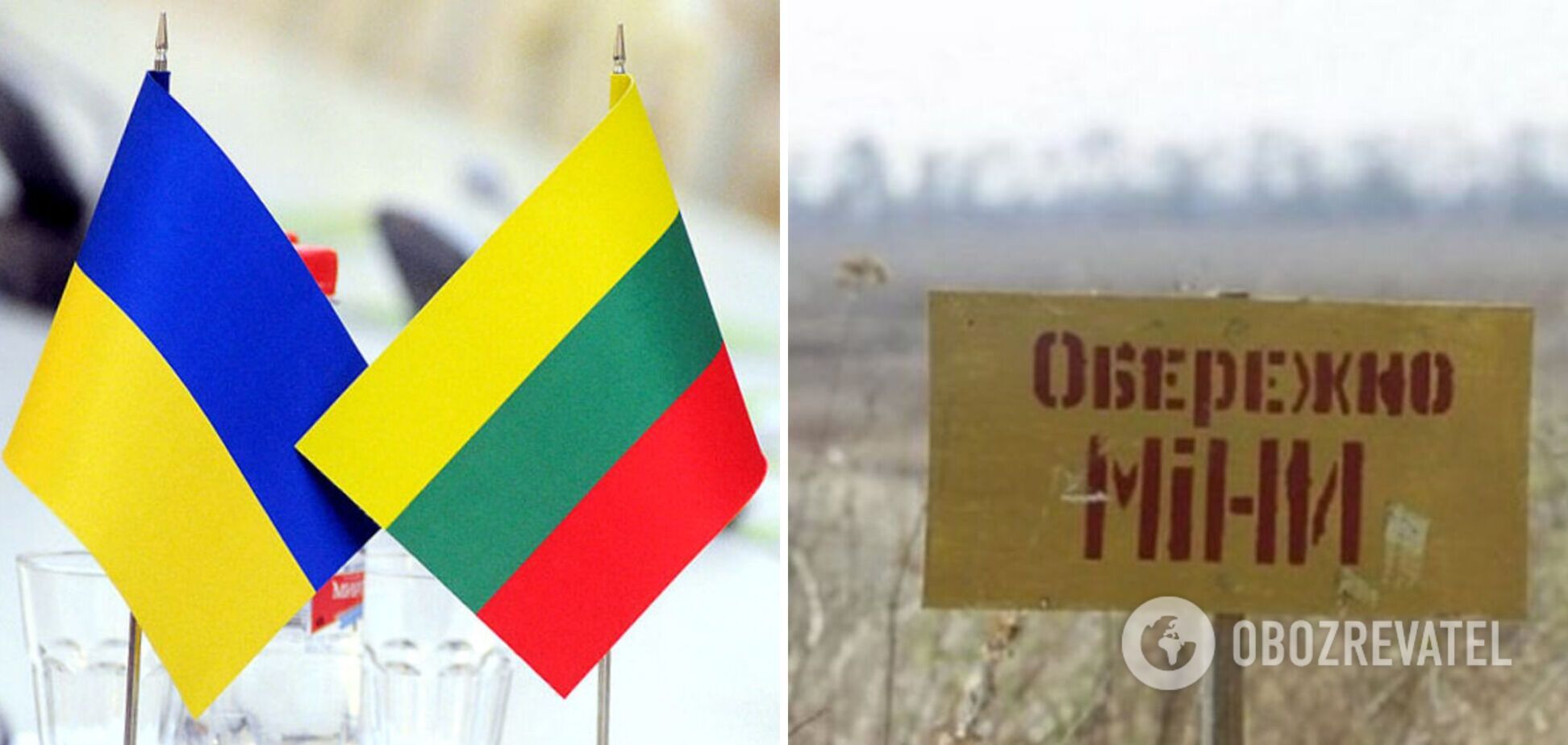 'Обучай и вооружай': Литва заявила о создании коалиции разминирования для Украины