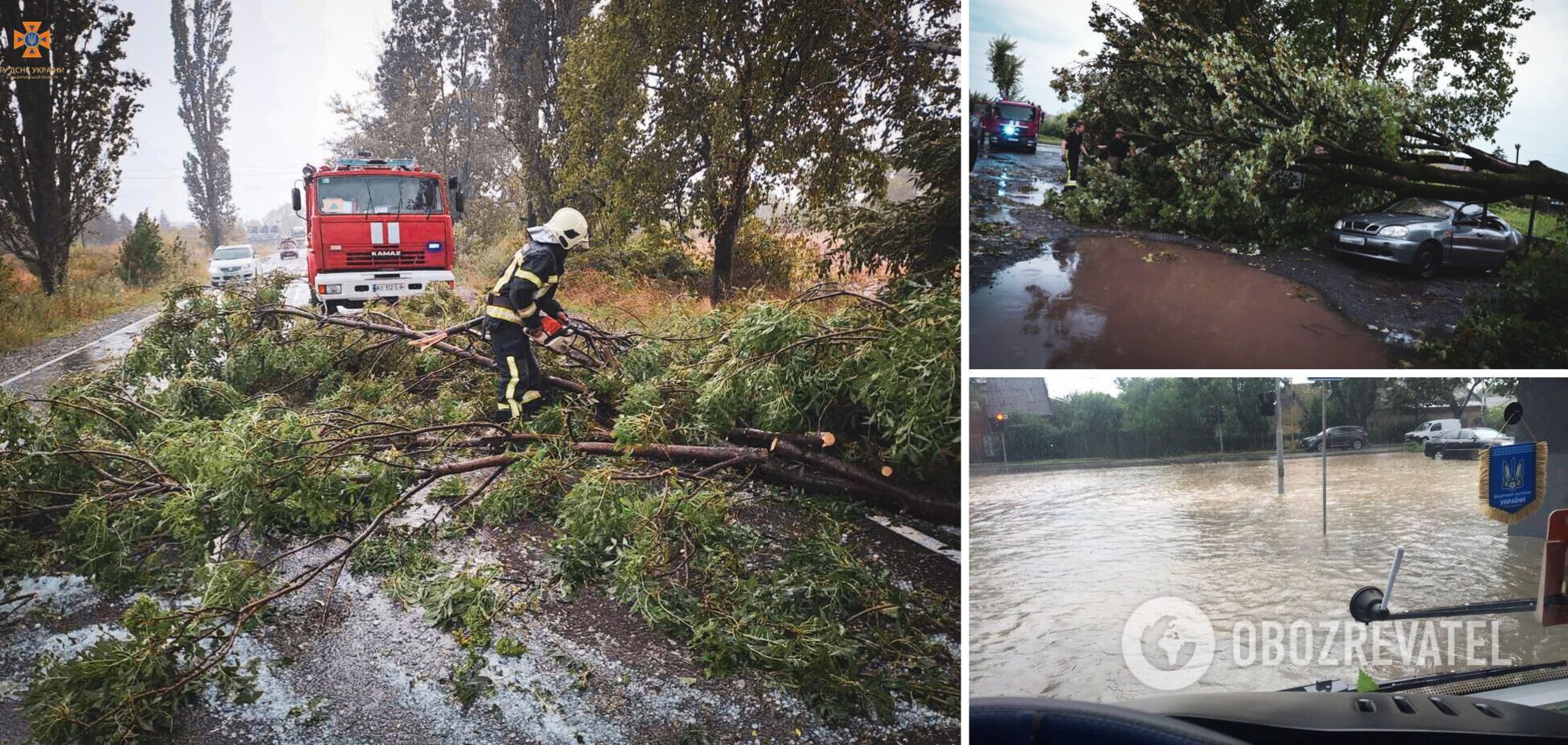 Ужгород накрыл шторм: повалены десятки деревьев, затоплены улицы. Фото и видео