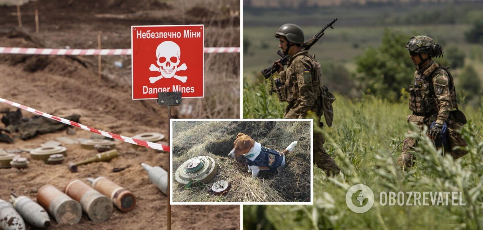 Наступление ВСУ тормозят минные поля, у союзников есть все для решения проблемы: интервью с майором Гетьманом