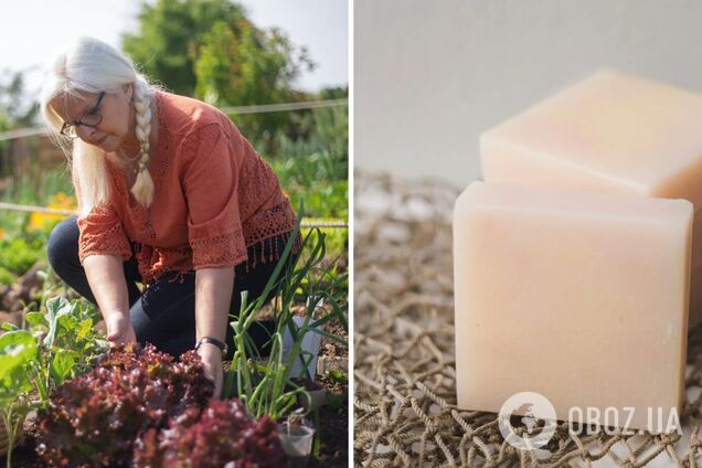 Что положить на огороде для защиты от вредителей: проверенный способ