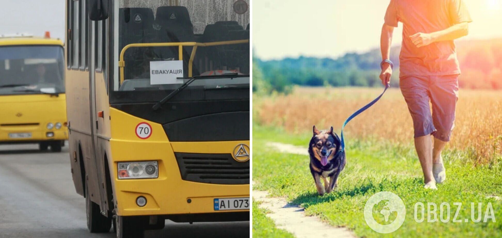 Мужчину, у которого в Херсоне погибла семья, не пустили в эвакуационный автобус с собакой: он три дня шел пешком в Одессу
