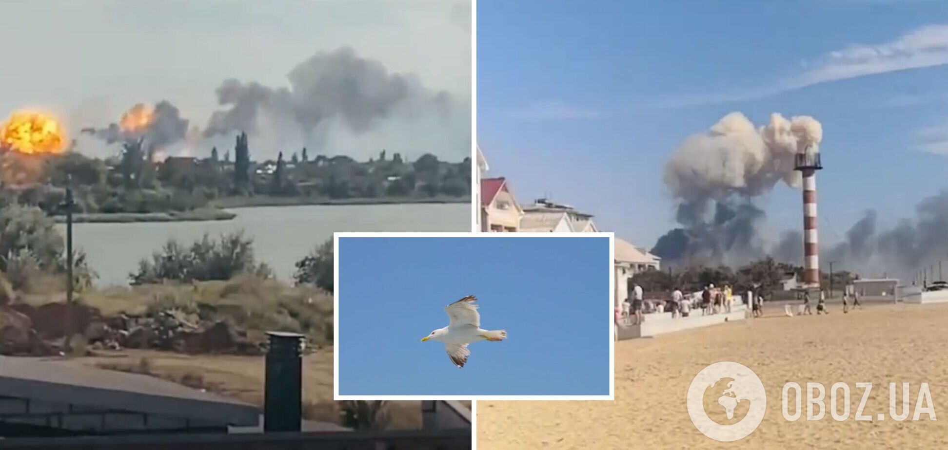 'Увага небажаним гостям!' Міноборони опублікувало відео-попередження про гаряче літо в Криму