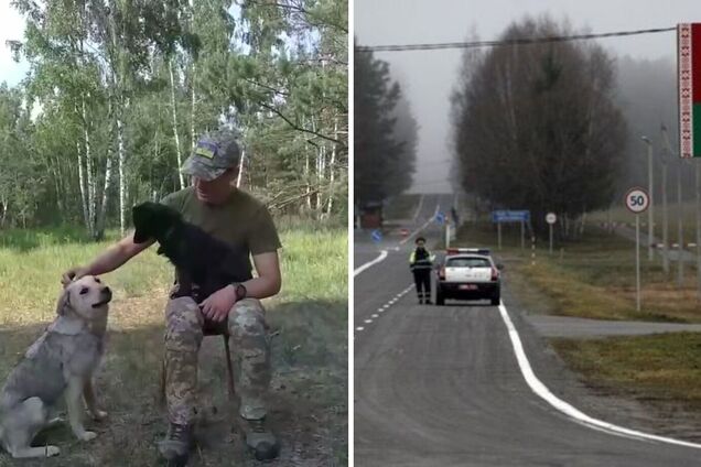 Перейшли на сторону добра: собаки з Білорусі стали на захист кордону України. Відео 