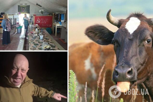 'Шойгу, де корови?!' Буряти у Криму оголосили збір на корову, щоб прогодувати окупантів
