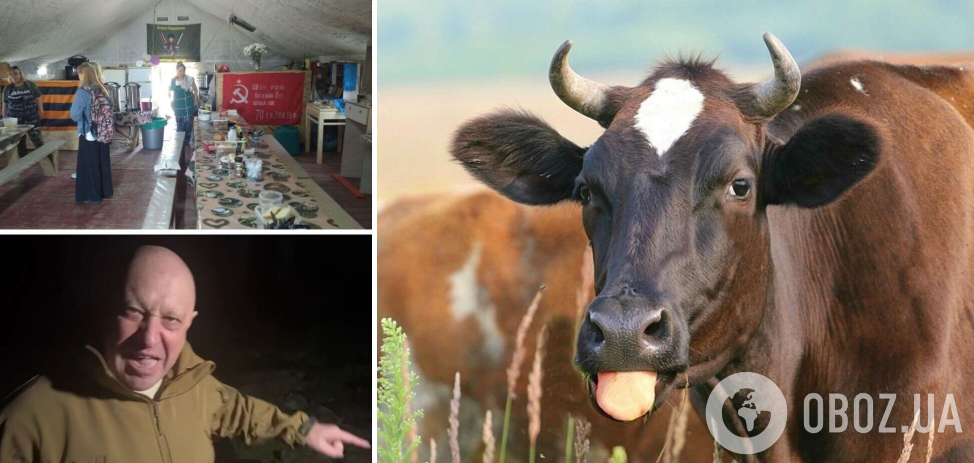'Шойгу, где коровы?!' Буряты в Крыму объявили сбор на корову, чтобы прокормить оккупантов