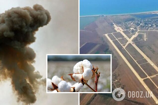 Бавовна в Крыму