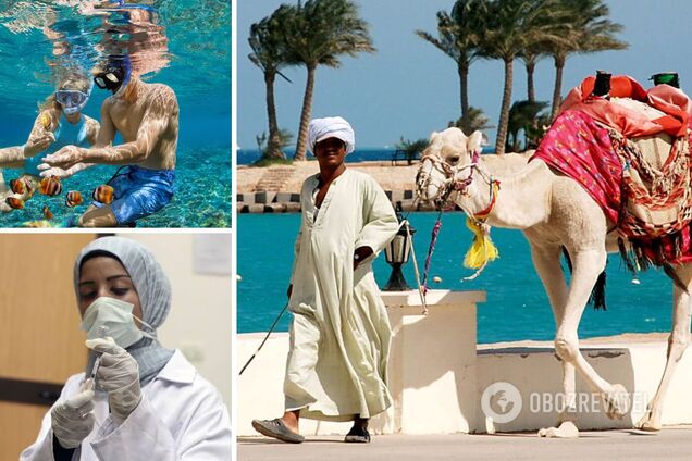 Россиян на египетских курортах атакуют опасные комары: вернувшихся туристов проверяют и просят отдыхать на дачах