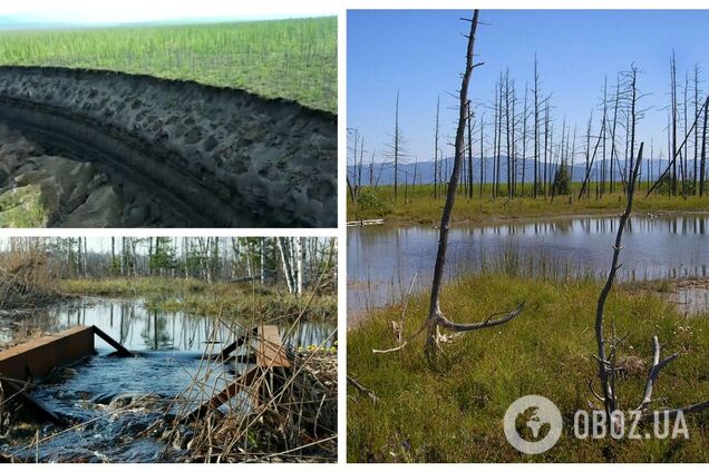 Природна карма: 65% території Росії поволі перетворюється на болото