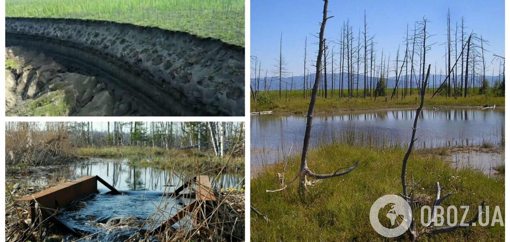 Природная карма: 65% территории России постепенно превращается в болото