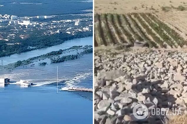 Утворився новий ландшафт: дно Каховського водосховища рясно вкрилося рослинами. Супутникові фото