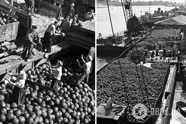 Баржи с арбузами в речном порту