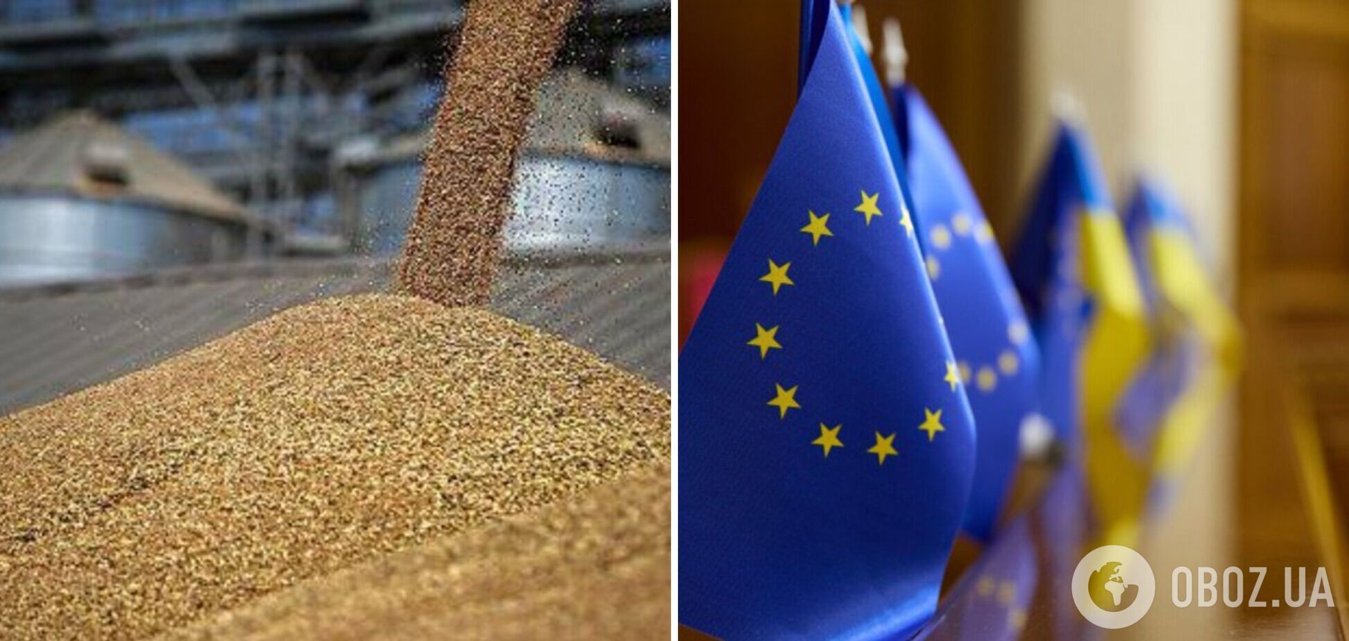 ЕС хочет сохранить запрет на импорт зерна из Украины