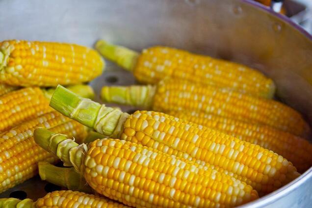 Сколько времени варить кукурузу: чем полезна кукуруза | FoodOboz