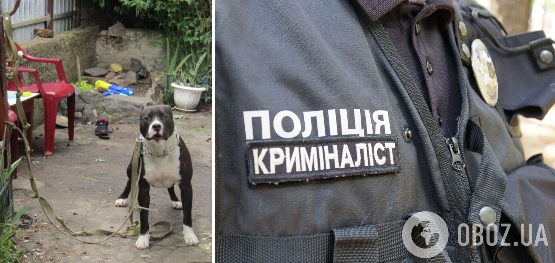 Полиция расследует факт нападения собаки на ребенка