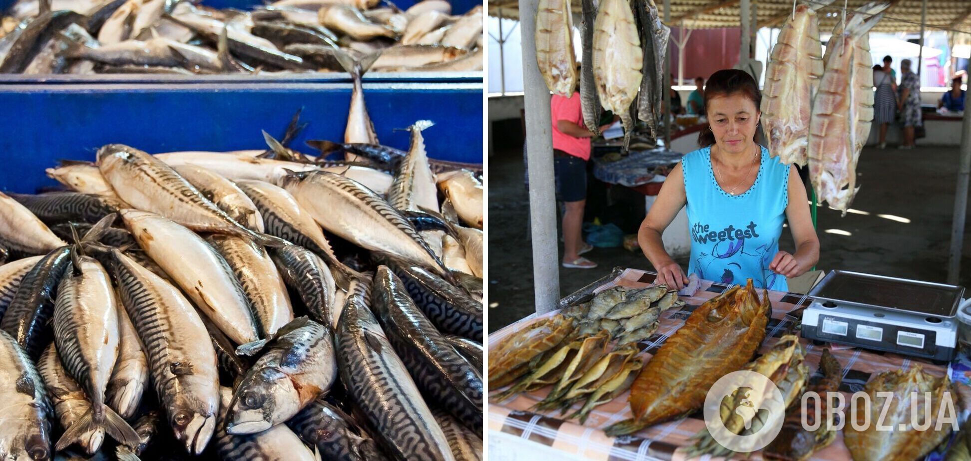Покупка рыбы летом опасна даже на легальных рынках