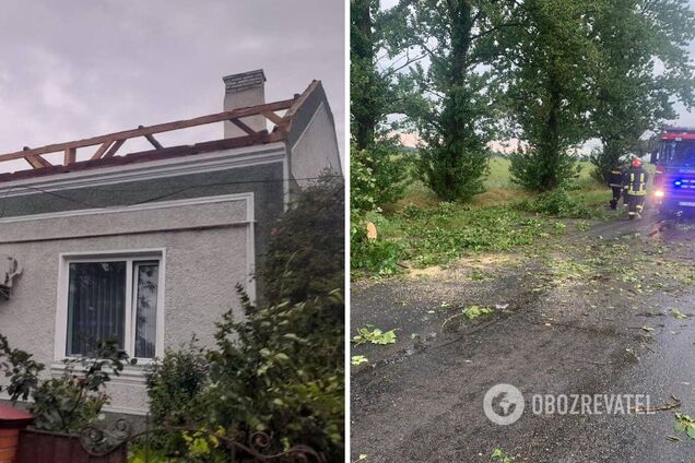 Непогода накрыла Прикарпатье: ураган сорвал крыши домов и свалил деревья. Фото
