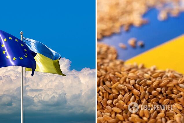 Пять стран просят ЕС продлить временный запрет на импорт украинского зерна: что происходит