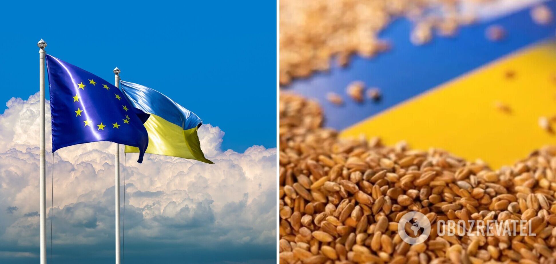Польша, Венгрия, Болгария, Словакия и Румыния просят ЕС продлить запрет на импорт украинского зерна