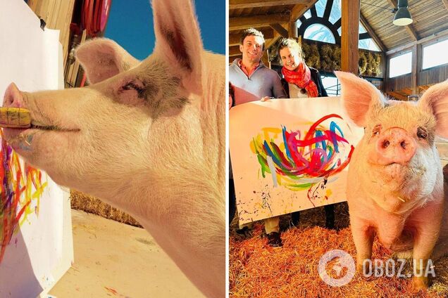 Свинья по кличке Пигкассо заработала больше миллиона долларов, рисуя картины: ее работы есть в коллекции Джорджа Клуни