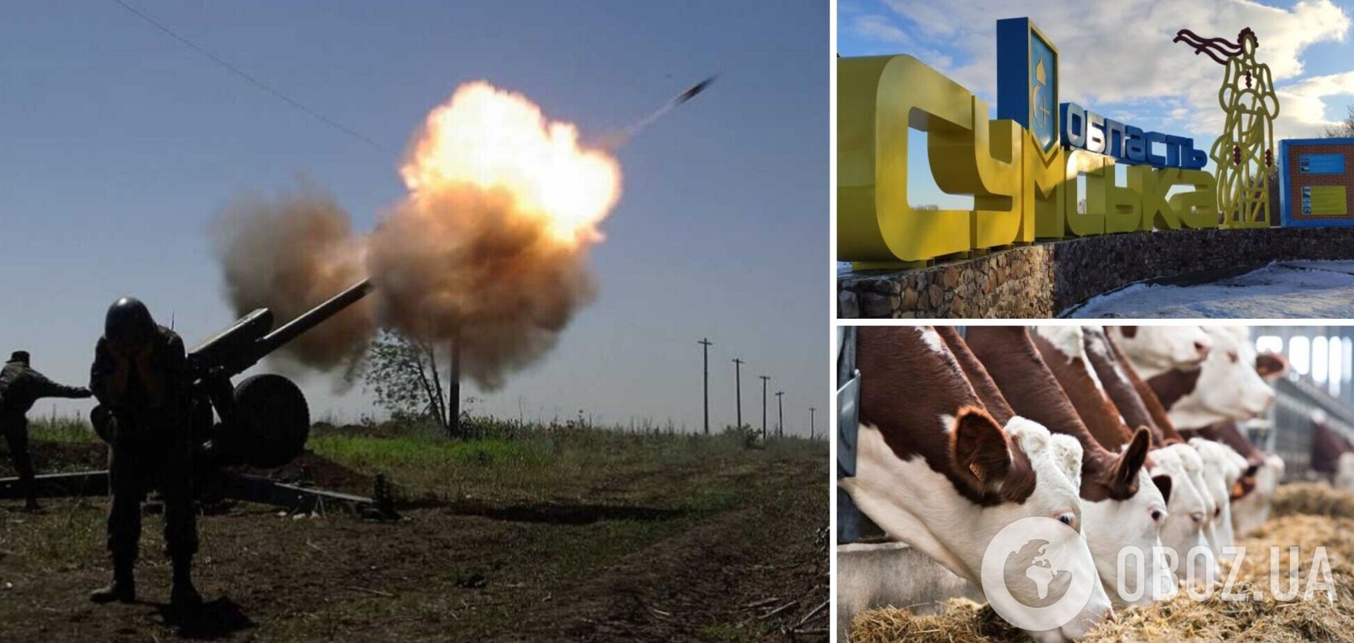 Погибло более полусотни животных, ранен человек: оккупанты обстреляли 15 поселков на Сумщине