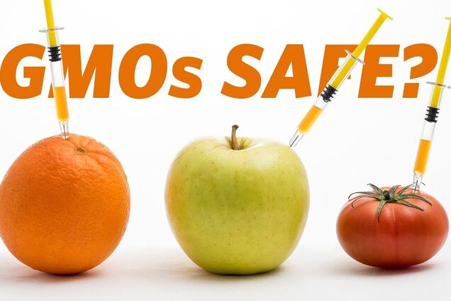 Наскільки небезпечні продукти з ГМО