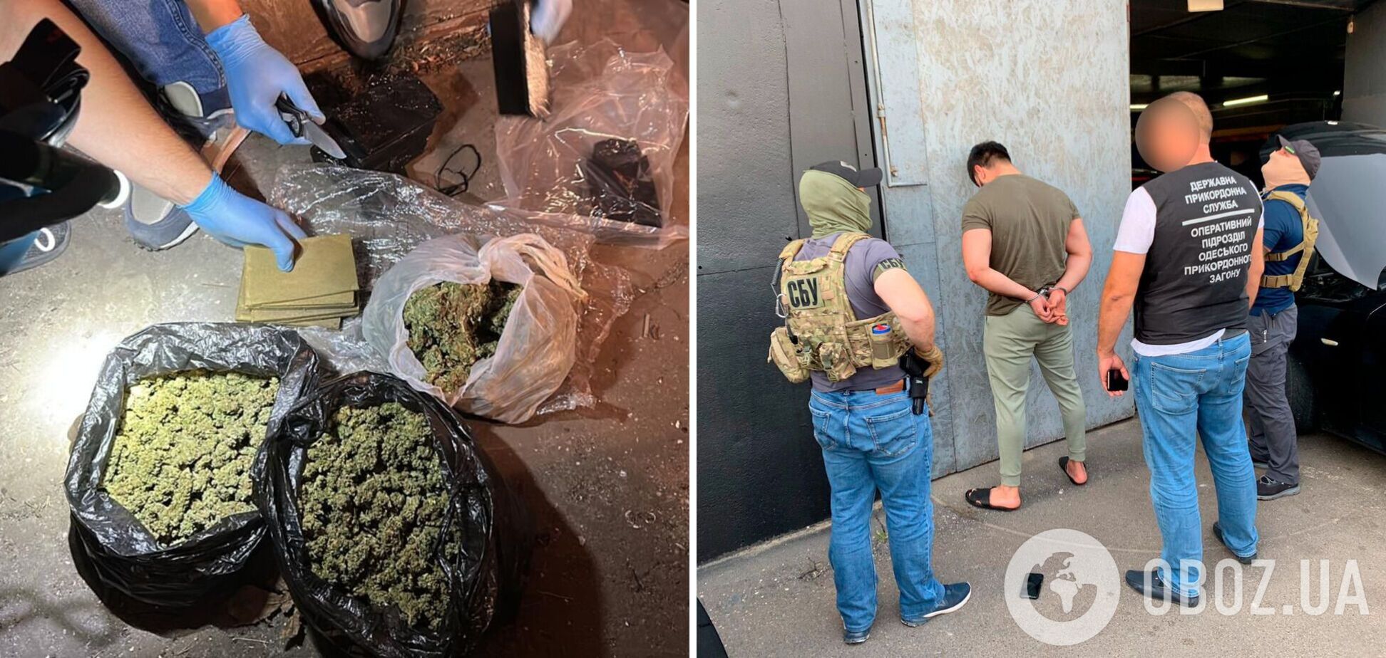 На Одещині правоохоронці ліквідували мережу зі збуту канабісу на 3,5 млн грн. Фото