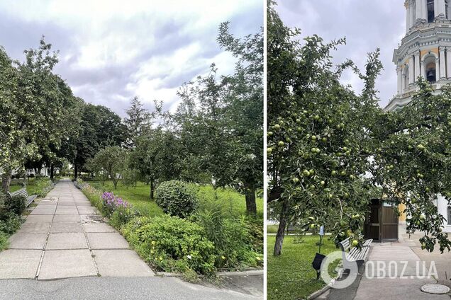 Митрополичий сад долгое время был закрыт для посетителей