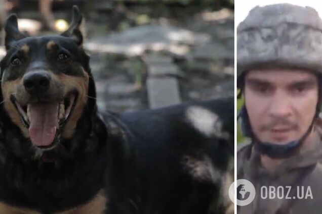 'Принесла звідкись 5 сухпаїв': воїни 77-ї бригади ДШВ розповіли, як собака Жужа рятувала їх від голоду на передовій. Відео