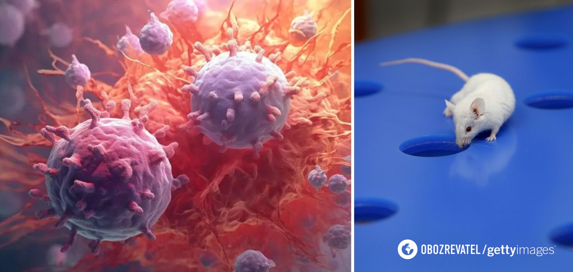 Вчені змусили ракові клітини вчинити самогубство, виробляючи бактеріальний токсин