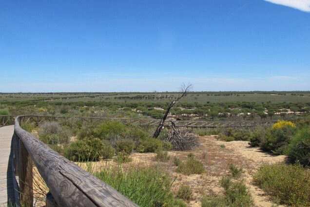 На грани катастрофы: объект Всемирного наследия в Испании Доньяна почти уничтожен