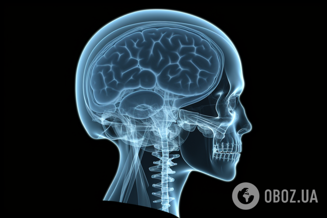 Зміна клімату може зменшити людський мозок: про що попереджають учені