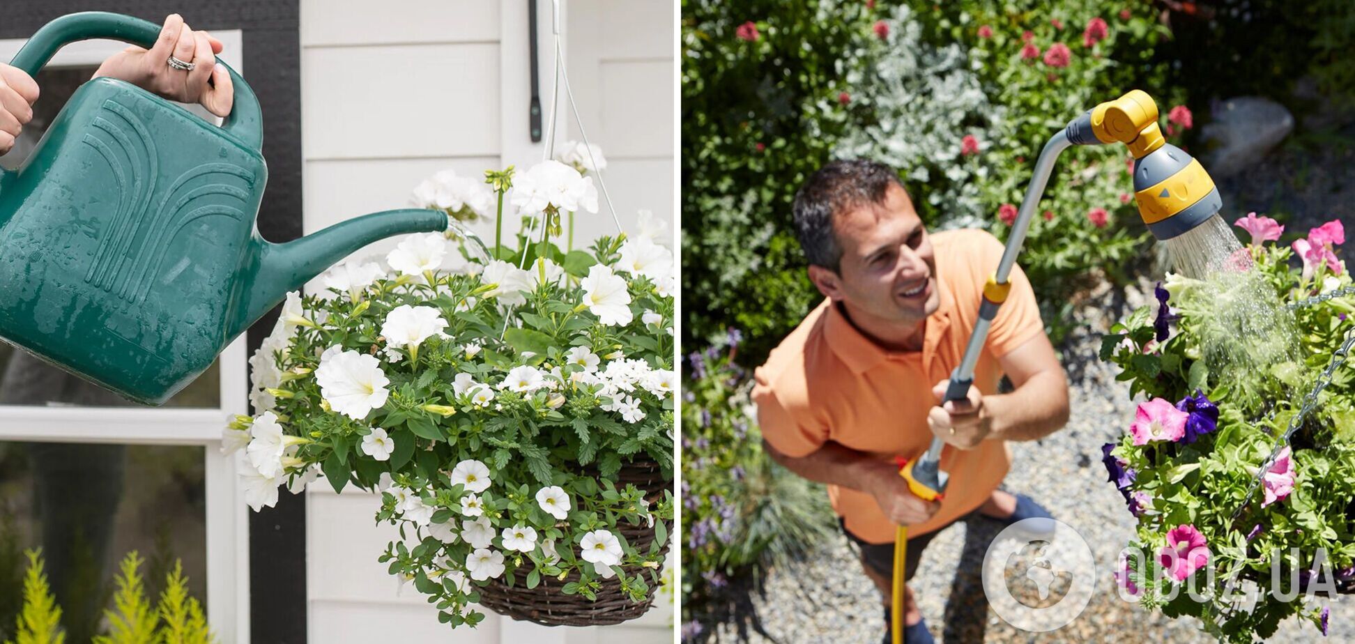 Як часто треба поливати підвісні горщики з квітами влітку: ідеальний варіант
