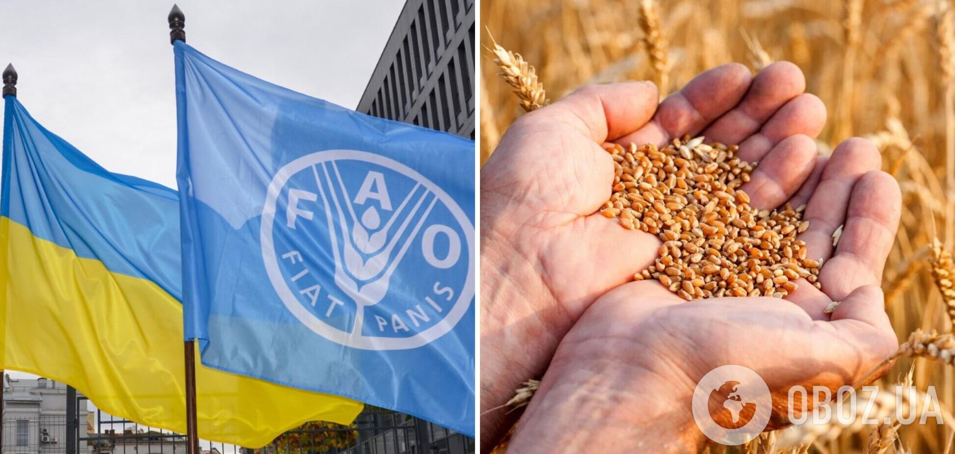 Фермерам в Україні допоможуть із посівною