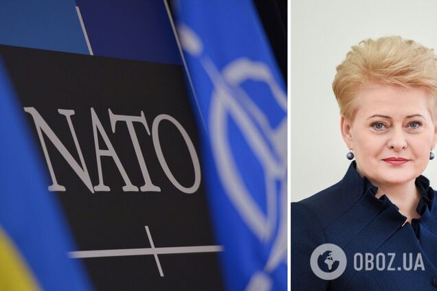 Процесс вступления Украины в НАТО нужно начать уже сейчас – экс-президент Литвы