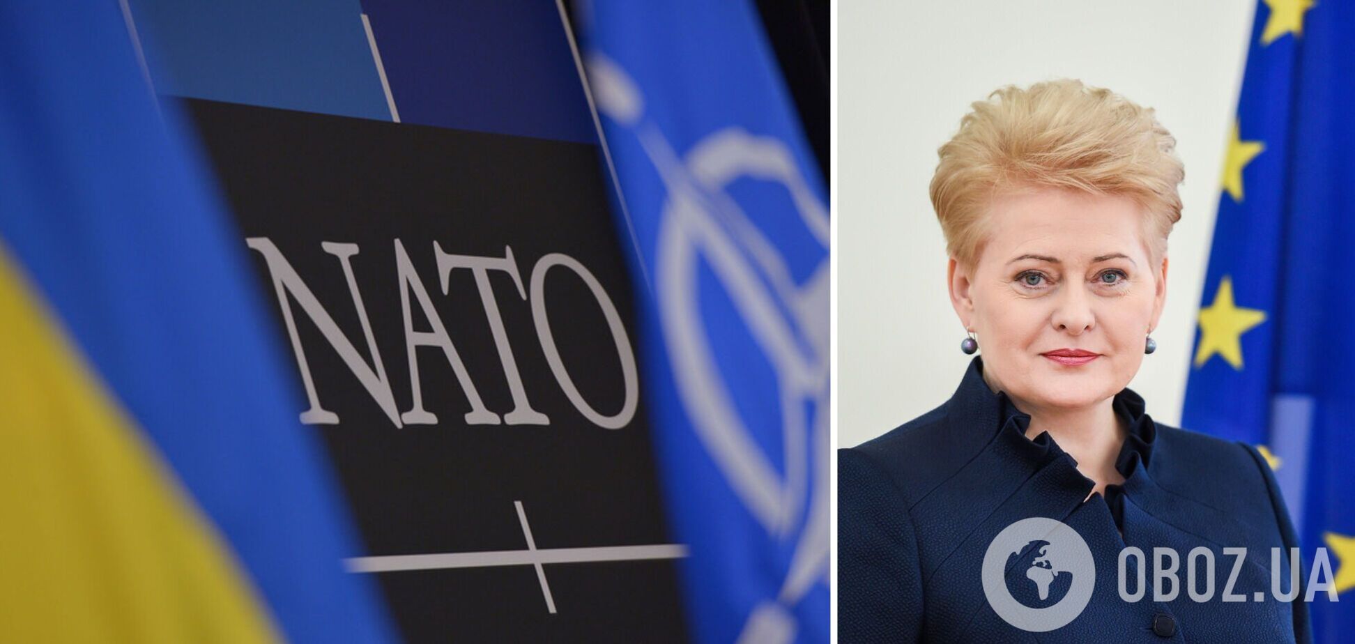 Процесс вступления Украины в НАТО нужно начать уже сейчас – экс-президент Литвы