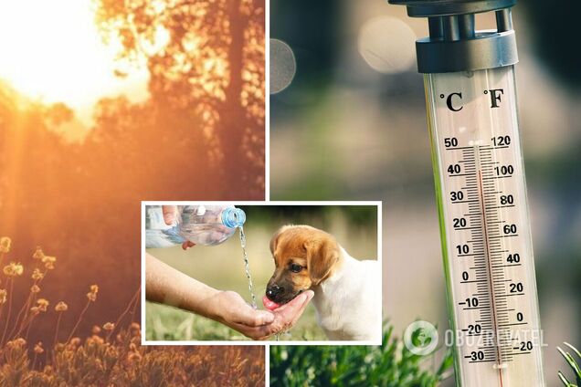 В Україну ввірветься нова хвиля спеки з Африки, стовпчики термометрів сягнуть +38: детальний прогноз