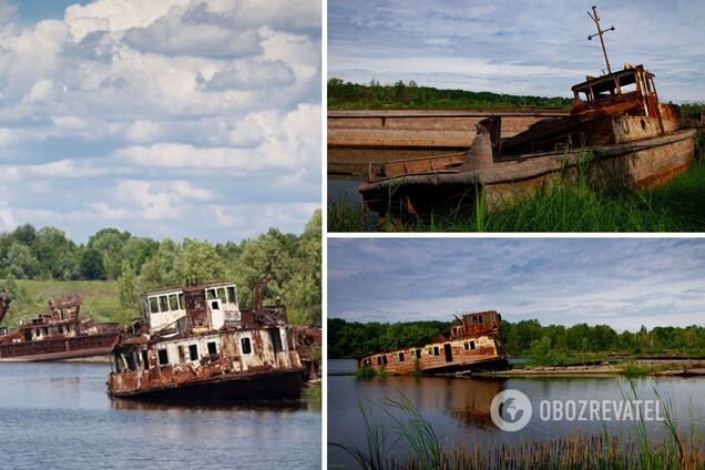 Это место более известно как 'последняя гавань'