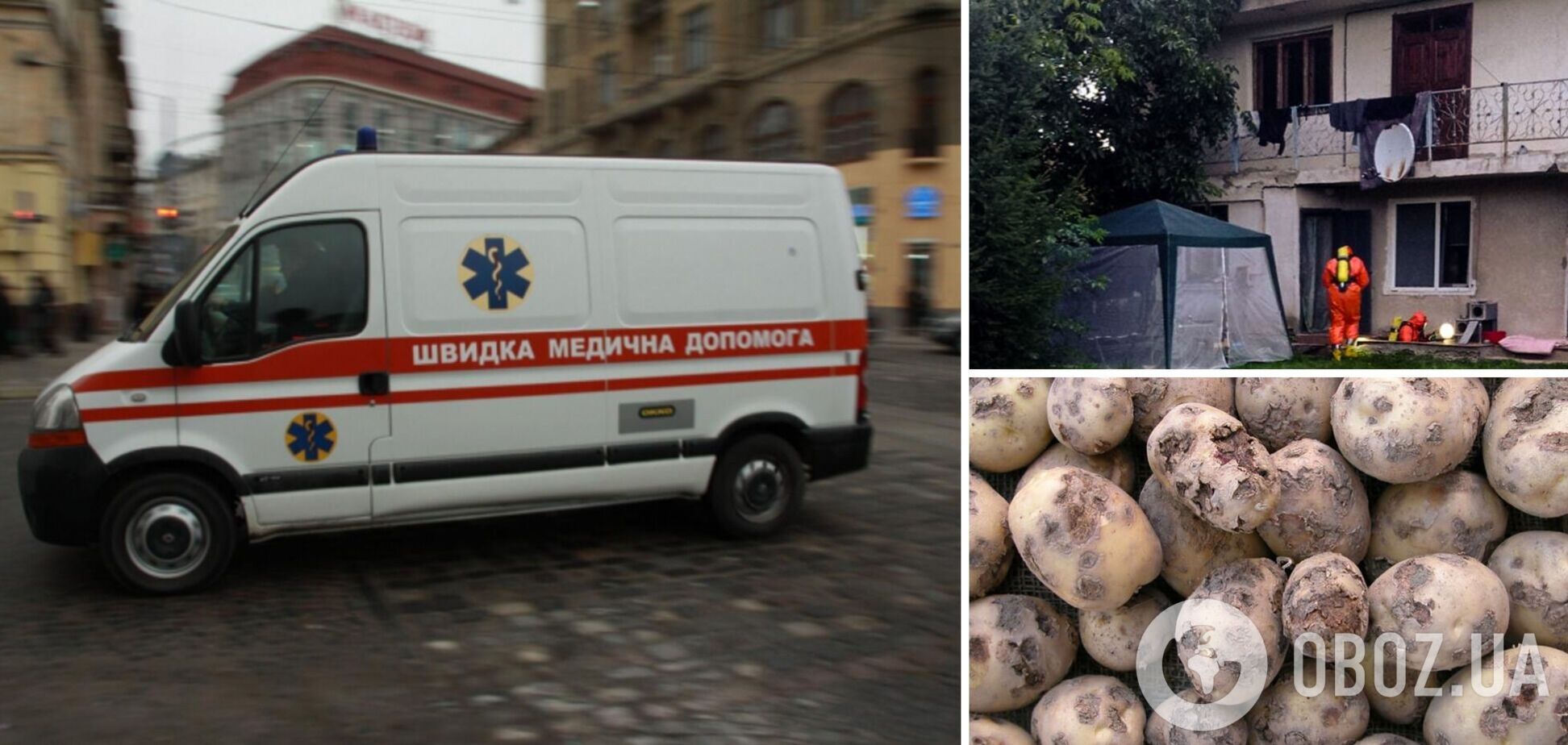 Зайшли до підвалу і знепритомніли: на Львівщині гнила картопля вбила чотирьох людей 