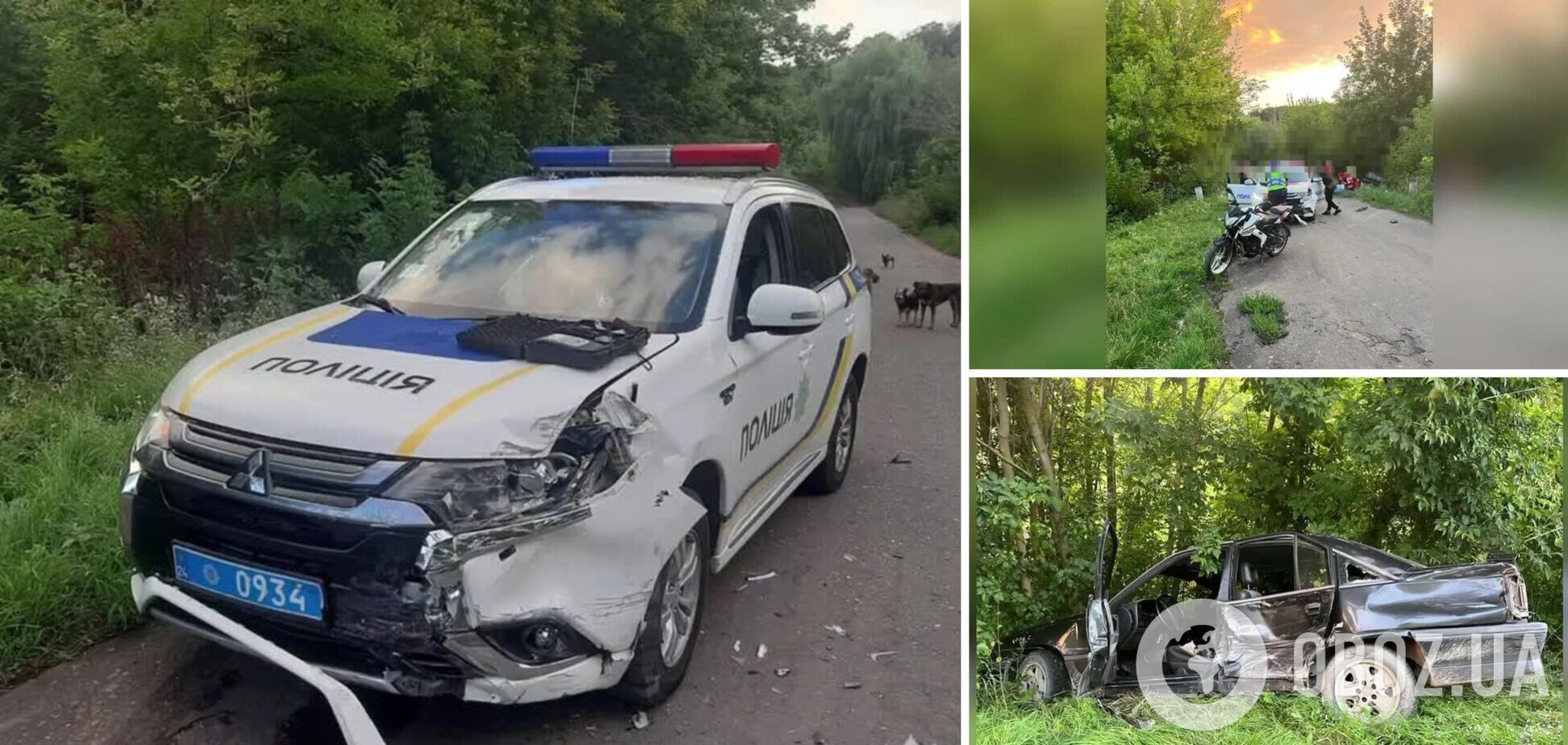 В Черкасской области выпивший водитель влетел в авто полиции: видео