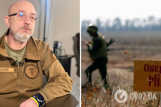 'Подекуди спостерігається до п'яти мін на квадратний метр': Резніков закликав Захід дати більше обладнання для розмінування