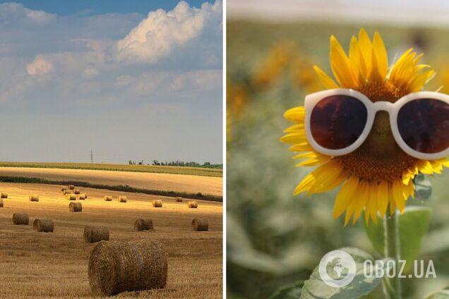Жара до 30 градусов не отступит? Синоптики дали прогноз на начало недели в Украине