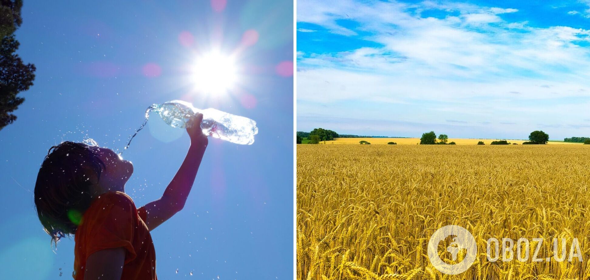 +33 градуса, без осадков: синоптики дали прогноз погоды на вторник, 15 августа