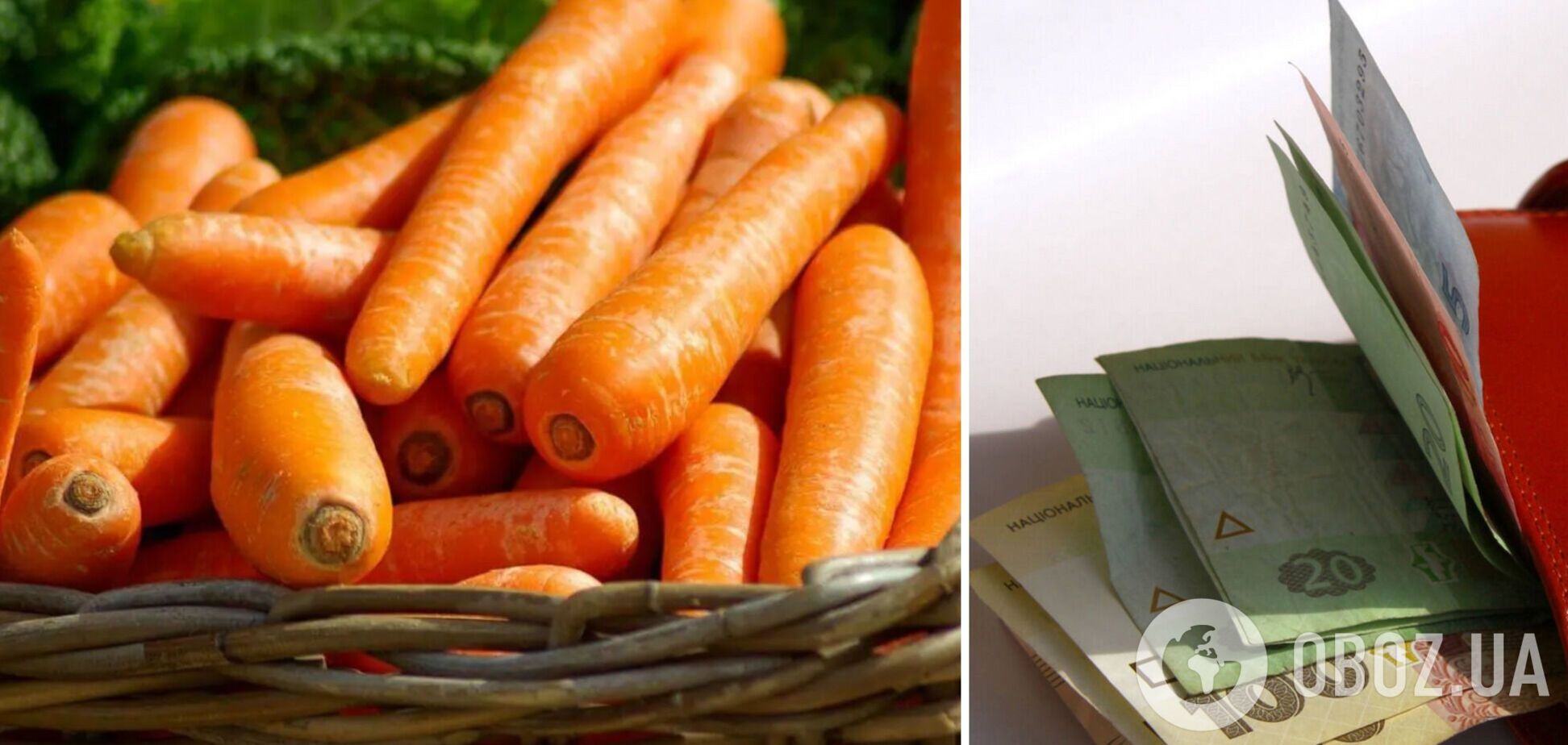В украинских супермаркетах в скором времени могут начать расти цены на морковь