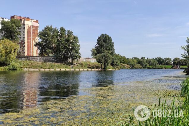 Синоптики прогнозируют жаркую погоду в регионе