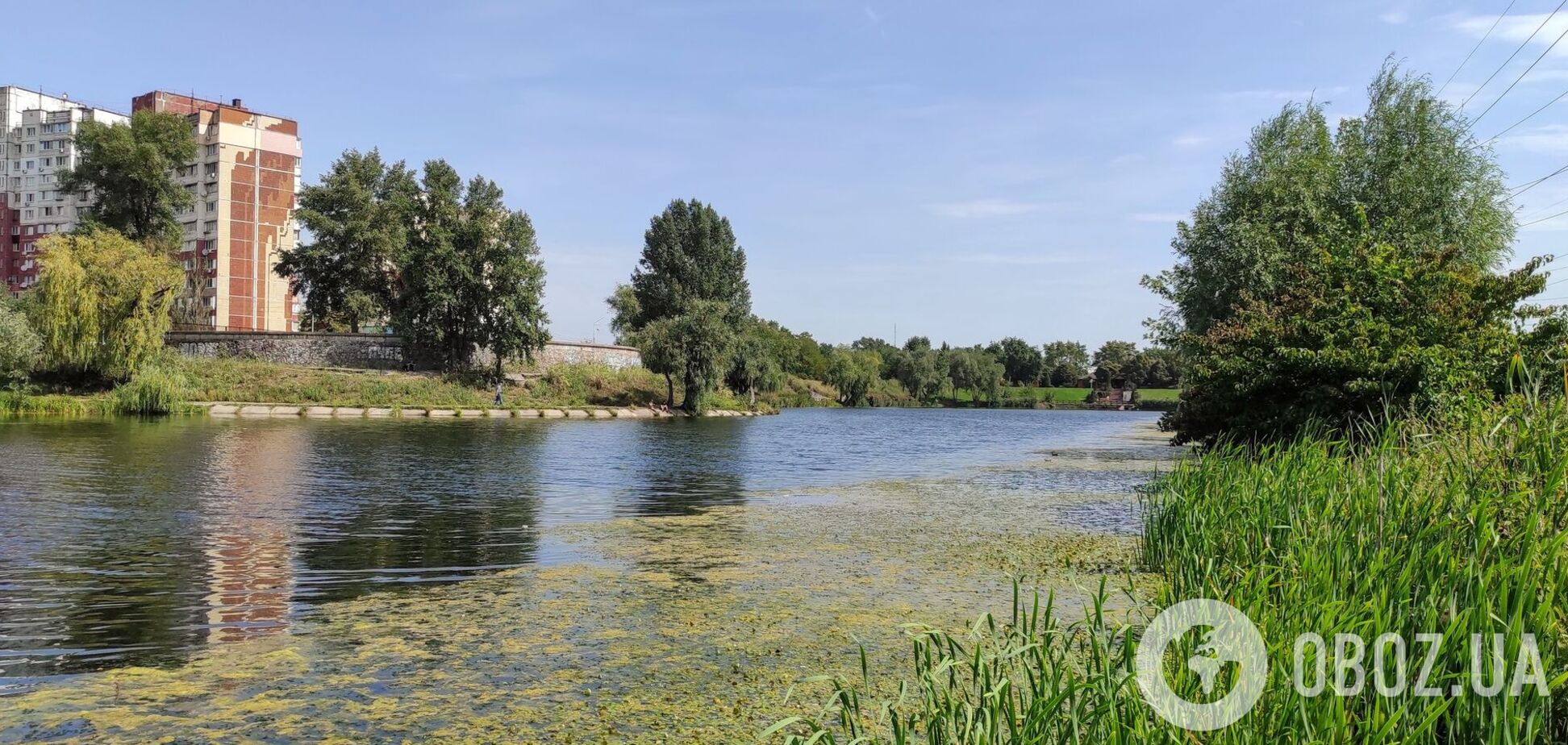 Синоптики прогнозируют жаркую погоду в регионе