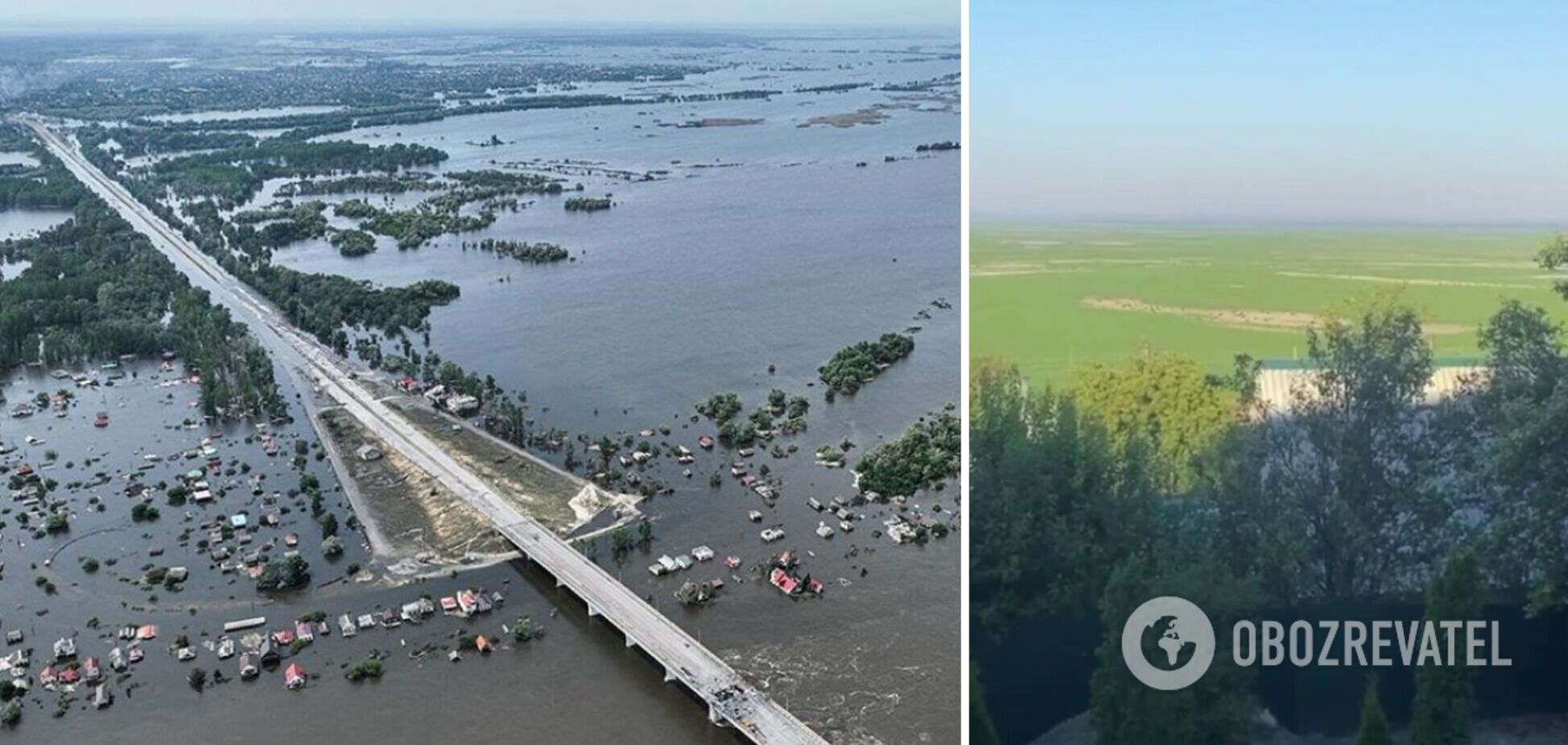 Наче футбольне поле: Каховське водосховище після обміління позеленіло. Відео