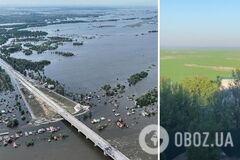 Как футбольное поле: Каховское водохранилище после обмеления позеленело. Видео