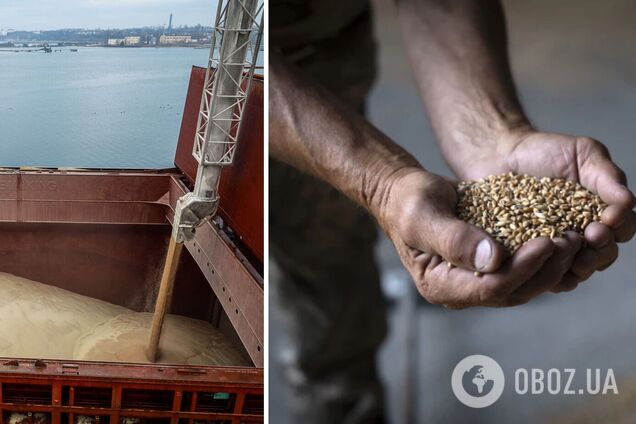 Фермеры в Украине не знают, что делать с урожаем зерна